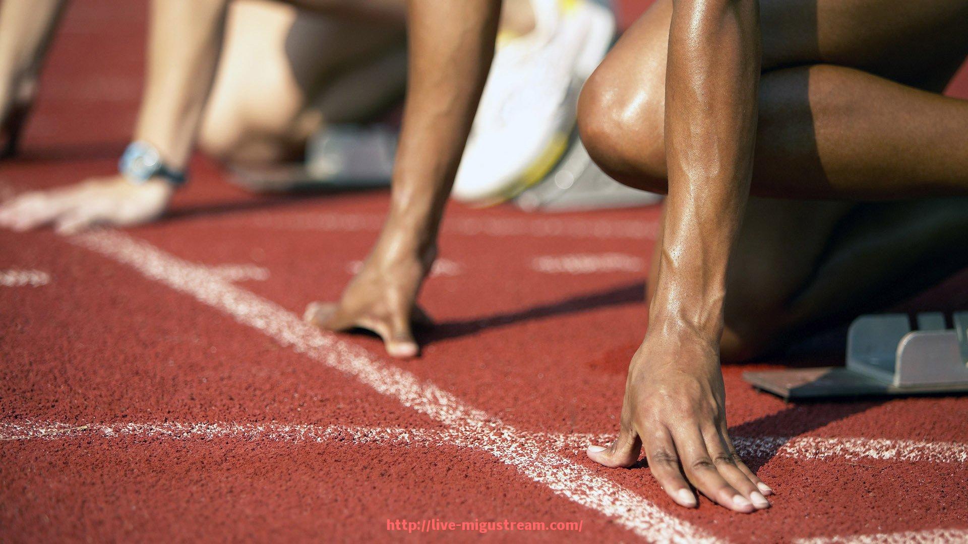 咪咕体育直播-世俱杯商业合作客户关系维护体系建设与应用 咪咕体育直播-世俱杯商业合作客户关系维护体系建设与应用