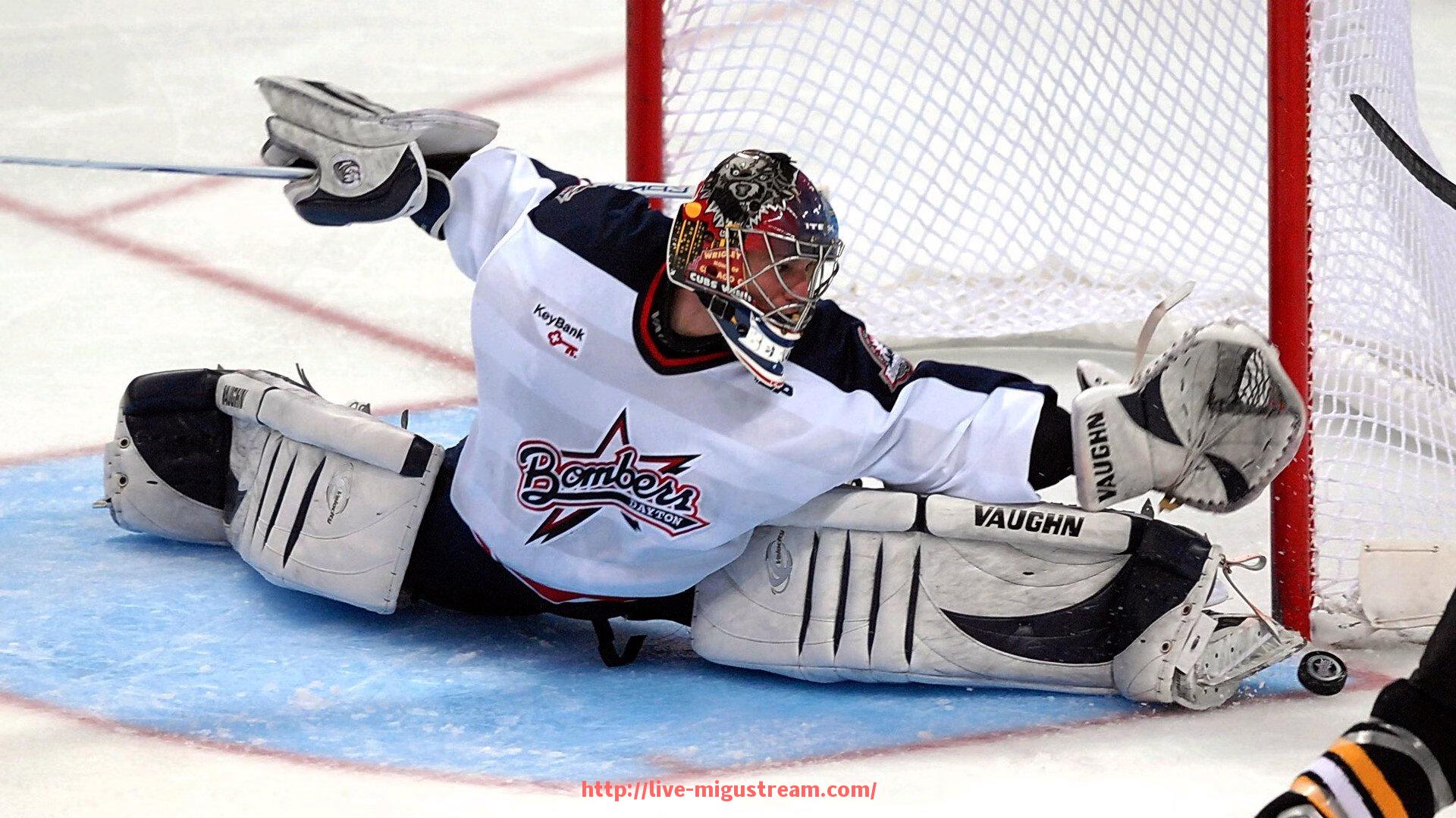 咪咕体育直播-直击比赛现场！2025世俱杯主办场馆全面介绍